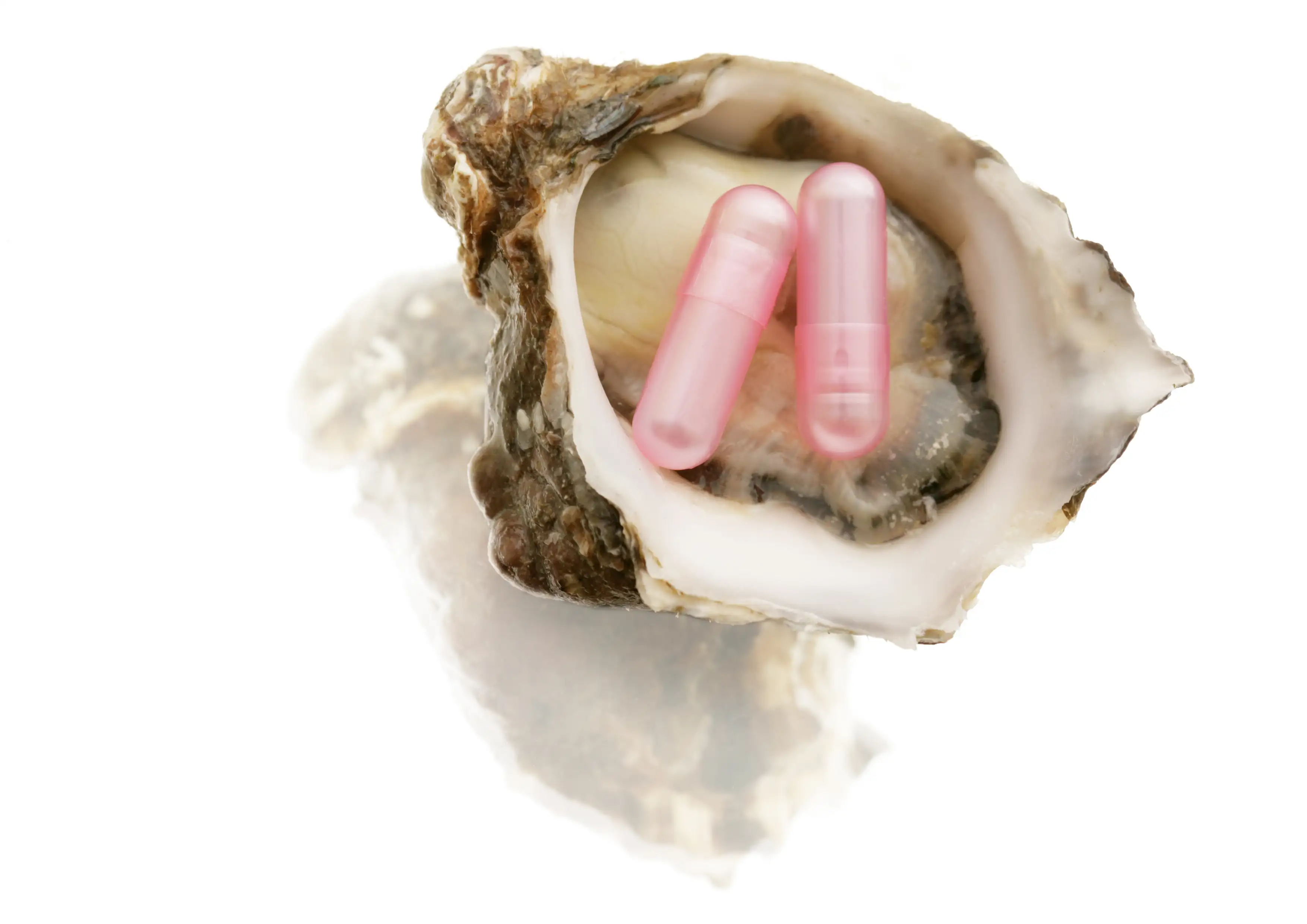 Устрицы против супербактерий