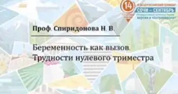 Спиридонова Н. В.: "Беременность как вызов. Трудности нулевого триместра "