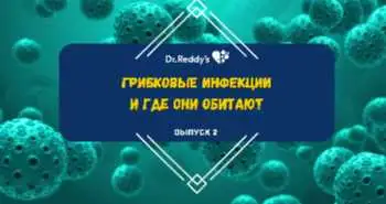 Выпуск 2. Грибковые инфекции и где они обитают