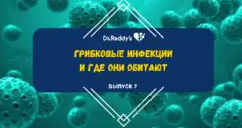 Выпуск 7. Грибковые инфекции и где они обитают