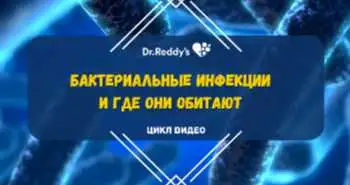 Выпуск 7. "Бактериальные инфекции и где они обитают"