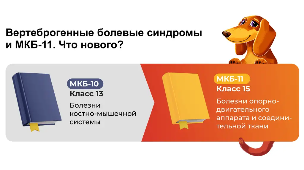 Вертеброгенные болевые синдромы и МКБ-11 Тексаред