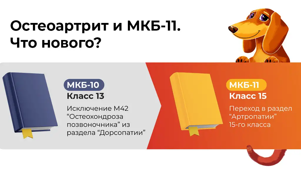 Вертеброгенные болевые синдромы и МКБ-11