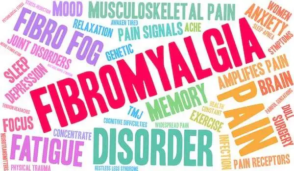 Explaining fibrofog: carbohydrate cravings explain more than pain and negative mood alone