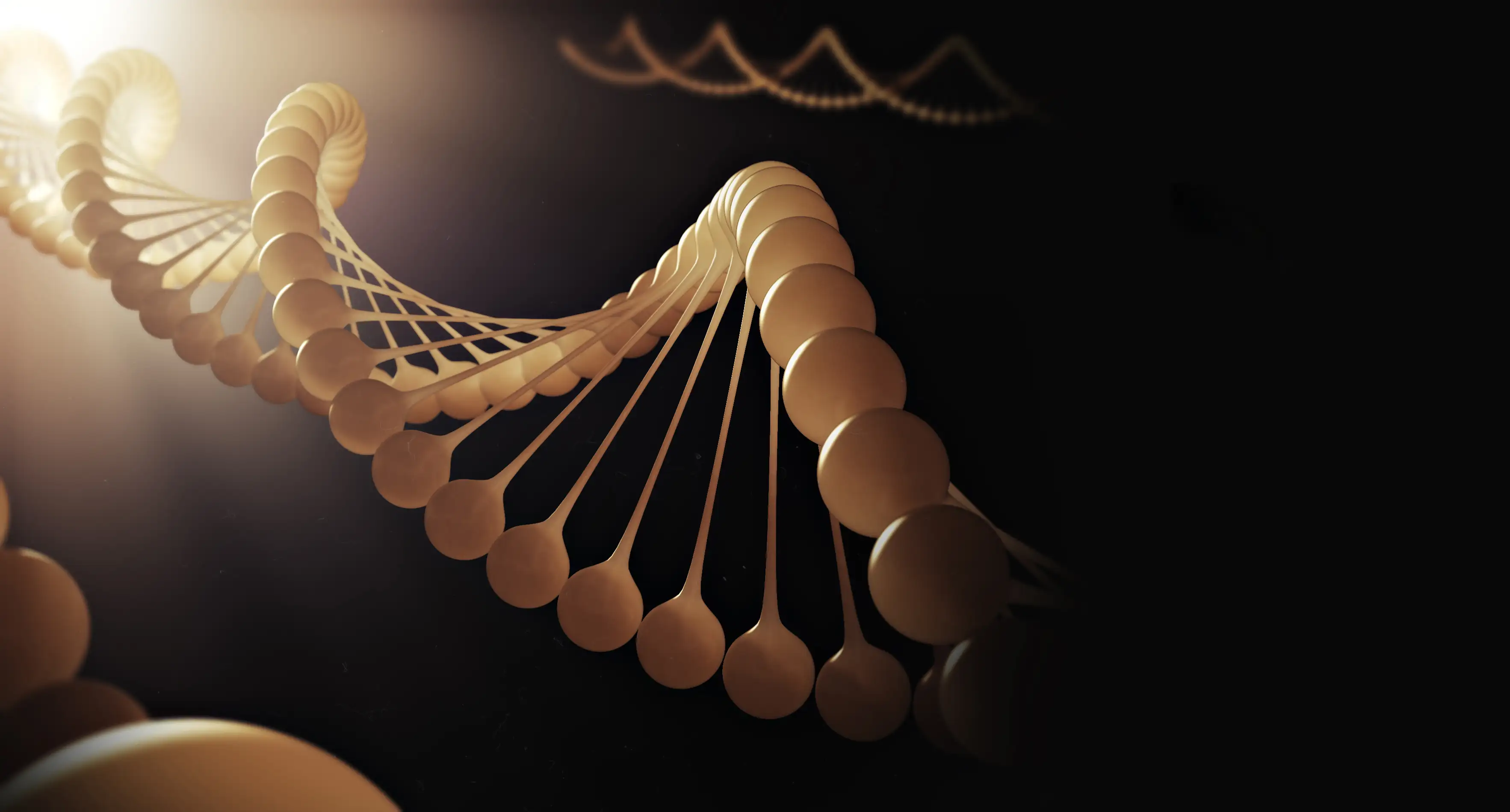 сопутствующее заболевание